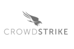 CROWDSTRIKE