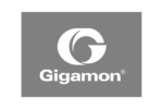 GIGAMON