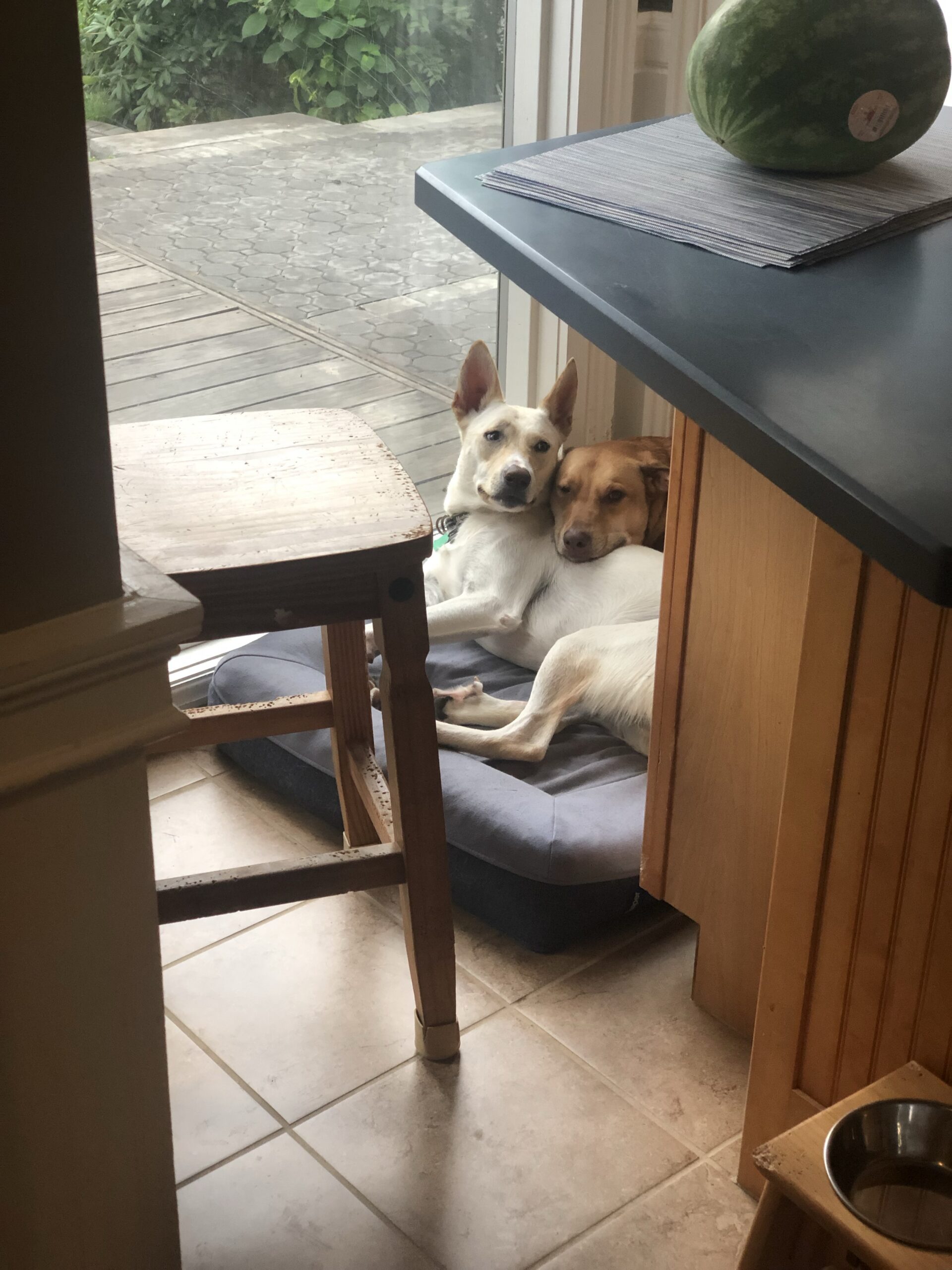 Murphy and Cooper